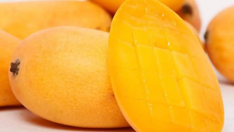 芒果AI代理多少钱？别急着掏钱，我先替你趟趟这浑水！