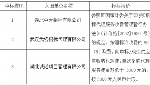 熬了三个通宵改方案，我发现“写招标代理方案ai”比实习生靠谱多了