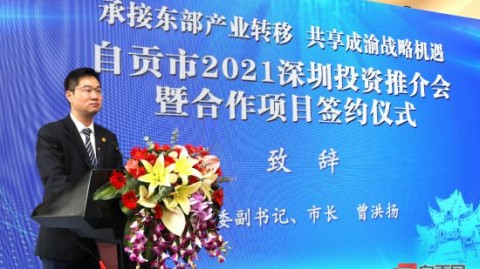 绵阳AI代理项目推荐：实地跑了半个月，我发现了这几个靠谱路子（附避坑指南）